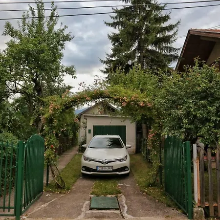 Apartman Camo